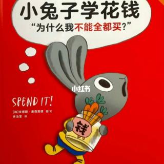 新星中班好书推荐《小兔子学花钱》分享者:马雨泽、周小平