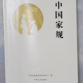 《中国家规》14苏东坡：以迈往之气，行正大之言