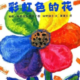 《彩虹色的花🌈》