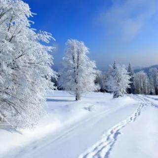 [读首唯美诗]思念是一场大雪，而你是所有的雪花