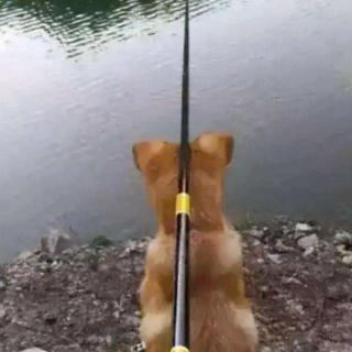 钓鱼佬什么都能钓到，除了鱼