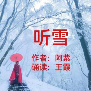 《听雪》作者：阿紫