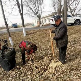 《搂树叶》作者：大侠  诵读：玫瑰伊人