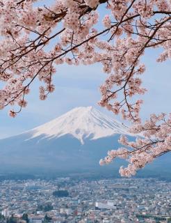 富士山下—Katy