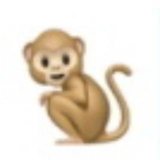 锅铲家的Monkey