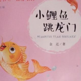 《小鲤鱼跳龙门》41一50页