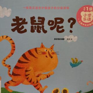 小步乐读 老鼠呢？第1级