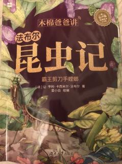 昆虫记_霸王剪刀手螳螂