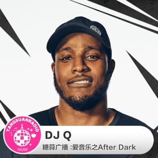 DJ Q·糖蒜爱音乐之After Dark