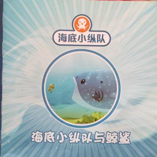 海底小纵队与鲸鲨