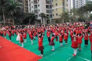 蓓蕾幼儿园睡前故事第136期《小马学钢琴🎹》