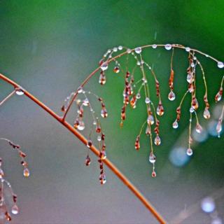 冬雨