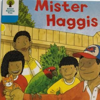 156  Mister Haggis 可跟读纯音频