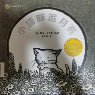 绘本《小猫咪追月亮》