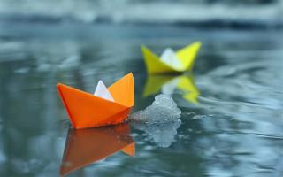 《纸船和风筝》声音：张杨