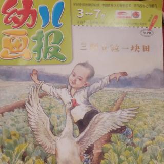 幼儿画报《三颗豆粒一块田》