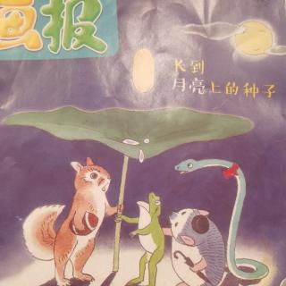 幼儿画报《长到月亮🌙上的种子》