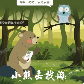 《小熊去找海》🐻