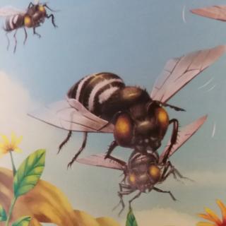 【海天阅读】《昆虫记——捕蝇蜂》（法布尔）