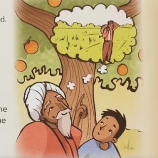 Yatin and the orange tree
