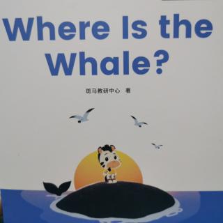 Where Is the Whale？