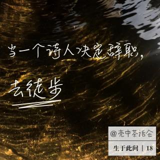 生于此间｜18：当一个诗人决定辞职，出去走走