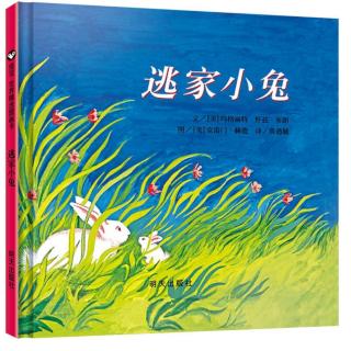 幼专附属幼儿园张老师《逃家小兔》