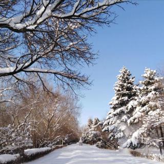 《今夜 等一场雪花飞扬》廉建军