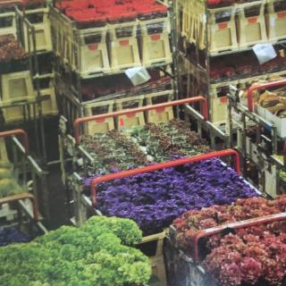 The flower trade