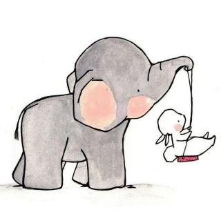 智宇幼儿园晚安故事第十六期《懂事的小象》