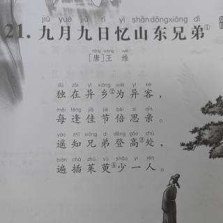 21.《九月九日忆山东兄弟》