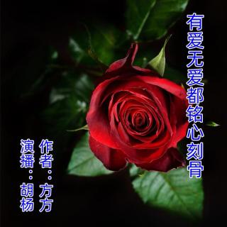 第18集（结束）