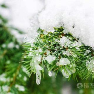 落雪为念，岁岁皆安