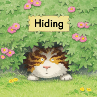 Heinemann GK - 39 Hiding