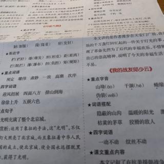 第二单元知识点总结与复习