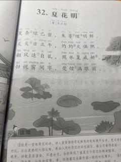 32.《夏花明》