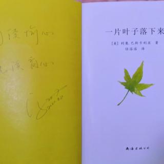 一片叶子落下来