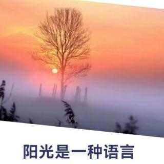 《阳光是一种语言》