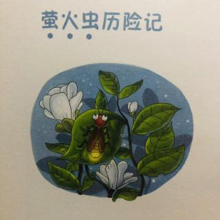 萤火虫历险记