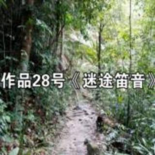 作品28号《迷途笛音》节选自唐若水《迷途笛音》