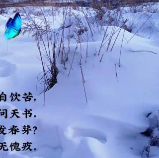 大雪中的中国