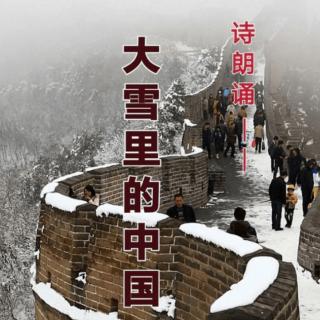 《大雪中的中国》欧震 朗诵：花亦若兰