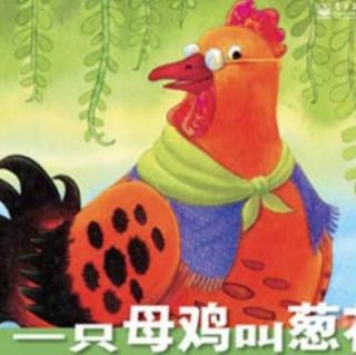 宋老师第654篇睡前故事🌻《一只母鸡叫葱花》