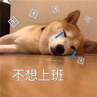 【粤语有声故事】忠犬之魂