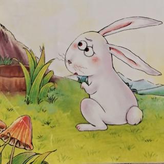佩吉是谁~小兔子认识自己的故事
