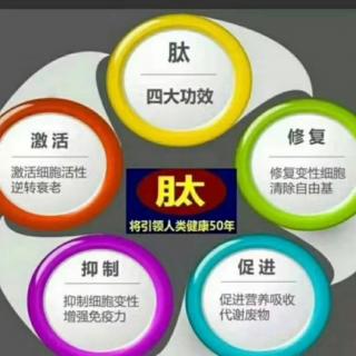 关于小分子肽的基础物质对人身体的影响