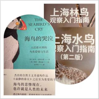 好书推荐：《上海水鸟观察入门指南》及其它.mp3