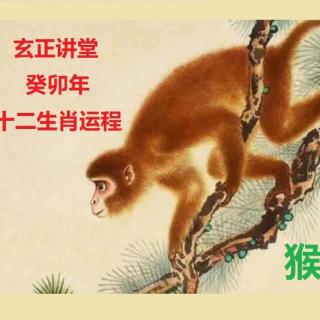 玄正讲堂-详解2023癸卯年生肖运程-猴