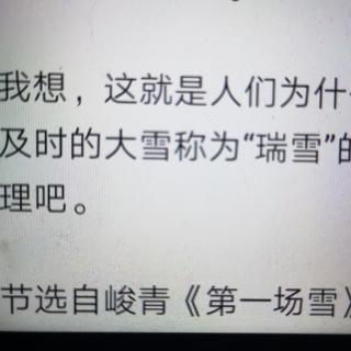 《美丽的心》作者：林清玄 朗读苏红