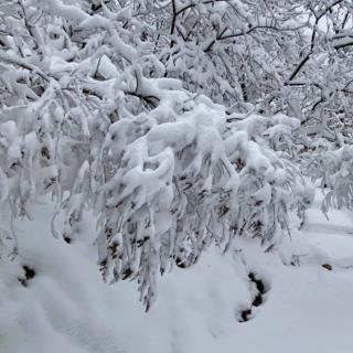 下雪了